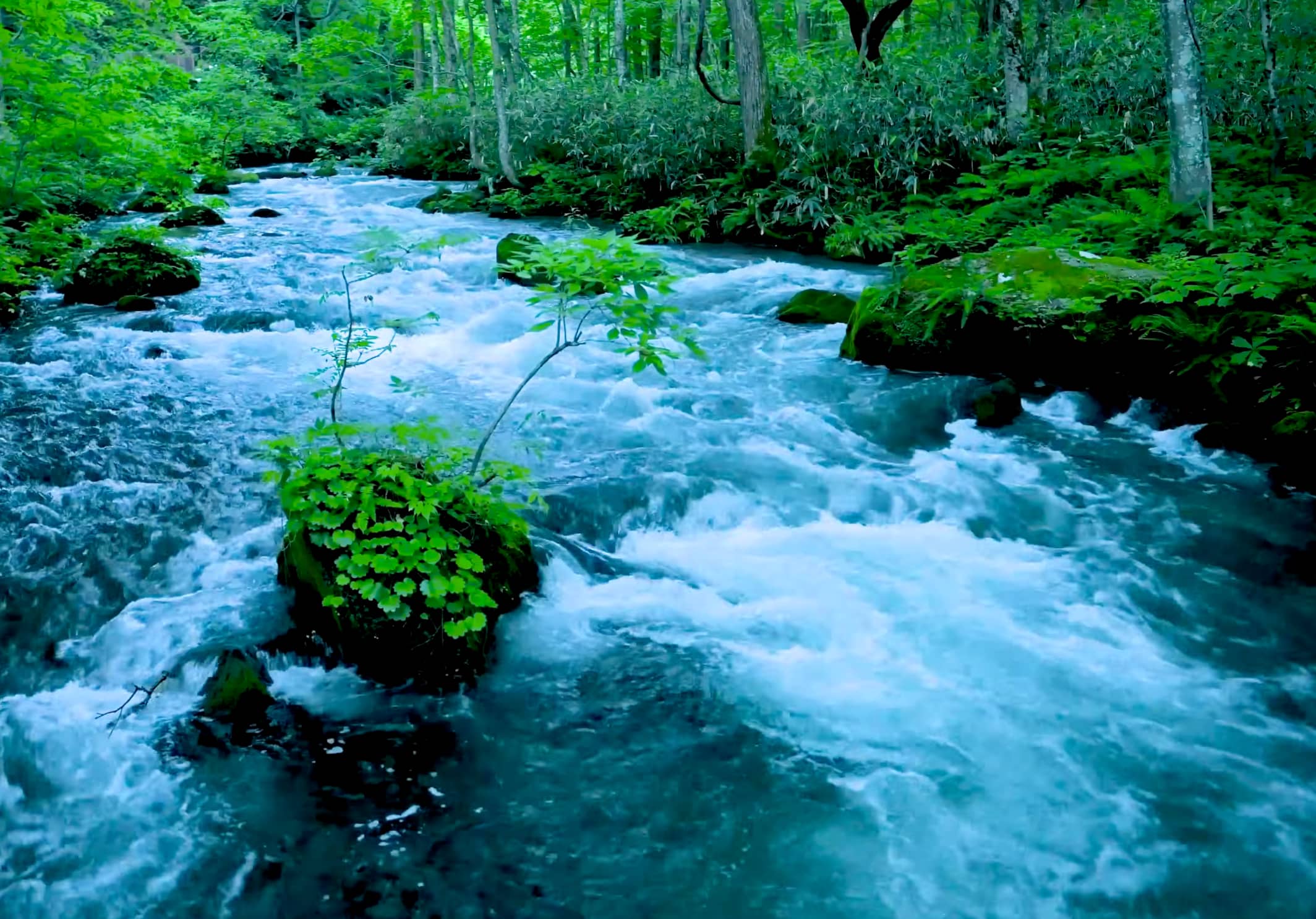 Flowing river